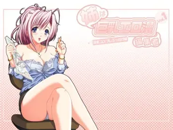 [13cc] Ane wa Kyonyuu Eroman Henshuusha 1 ~ Inran Cosplay Bukkake Hen ~ manga cover
