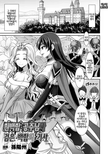 [Son Yohsyu] Shirayuri-hime to Kuroyuri no Kishi | 흰백합 공주님과 검은 백합의 기사 (2D Comic Magazine Gachi-Lez Ryoujoku de Kairaku Otoshi Vol. 1) [Korean] [LWND] [Digital] manga cover