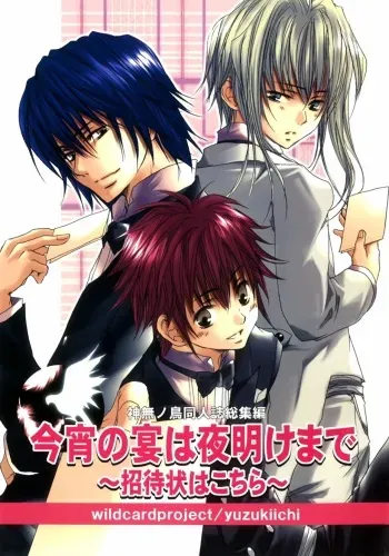 [041230][wildcard_project]kannagi no tori doujinshi soushuuhen manga cover
