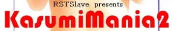 [RST Slave (Ebina Souichi)] Kasumi Mania 2 (Dead or Alive) manga cover