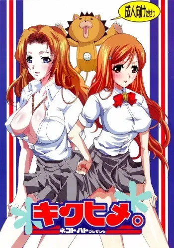 (Kyonyuukko 4) [Neko to Hato (Hatoya Mameshichi)] Kiku Hime. (BLEACH) manga cover