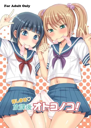 Meshimase Houkago Otokonoko! manga cover