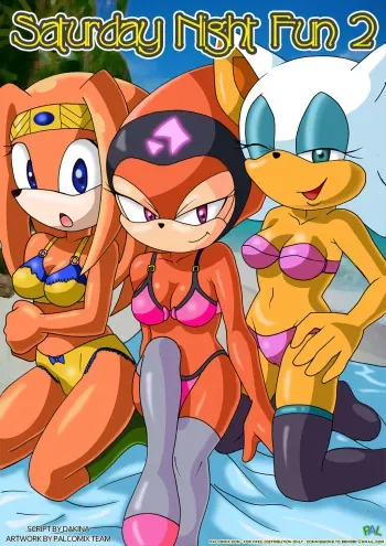 [Palcomix (Dakina)] Saturday Night Fun 2 (Sonic the Hedgehog) manga cover