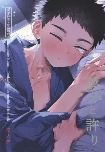 [Ebiharami (Yoruge)] Yume ka to motori (Touken Ranbu) [English] manga cover