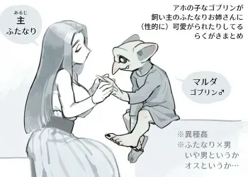 [komeko] Futanari x Goblin manga cover
