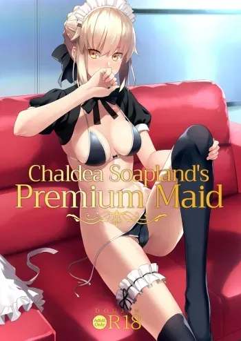 Chaldea Soap SSS-kyuu Gohoushi Maid | Chaldea Soapland's Premium Maid manga cover