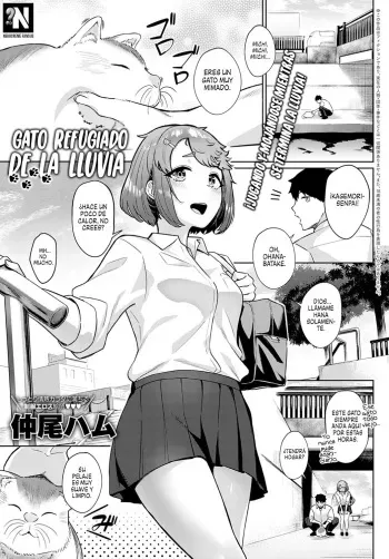 [Nakao Ham] Neko nochi Amayadori | Gato Refugiado de la Lluvia (COMIC Anthurium 2021-04) [Spanish] [NekoCreme] [Digital] manga cover
