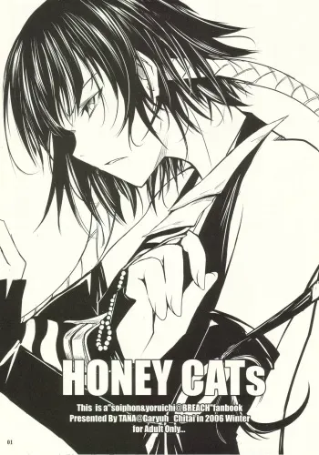 (C71) [Garyuh-Chitai (TANA)] HONEY CATs (Bleach) manga cover