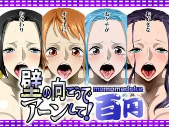 [NEL-ZEL FORMULA] Kabe no Mukou de Aan Shite! (One Piece) manga cover