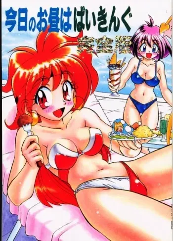 (C53) [Himawari Endan (Various)] BTB-21 Kyou no Ohiru wa Viking Kanzenban (Slayers) manga cover