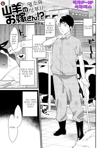 [Mizone] Yagi no oyomesan!? (Comic Anthology Qoopa Vol.5) [Korean] manga cover