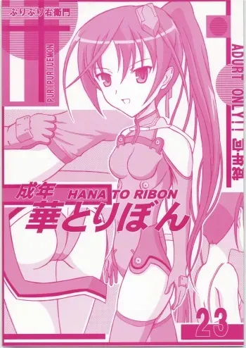(C72) [HANA TO RIBON (Puripuri Uemon)] Seinen Hana To Ribon 23 (Sky Girls) manga cover