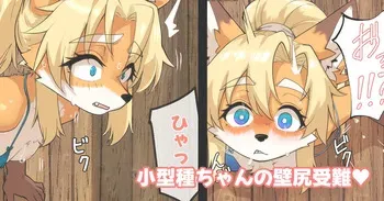 [がよくみだら] 小型種ちゃんの壁尻受難 manga cover