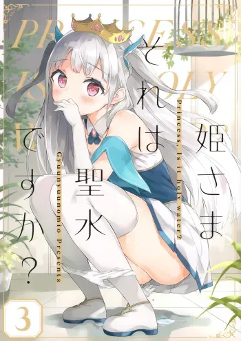 (Akihabara Chou Doujinsai) [Gyuunyuuya-san (Gyuunyuu Nomio)] Hime-sama Sore wa Seisui desu ka? 3 manga cover