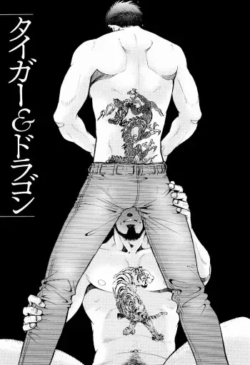 [Matsuzaki Tsukasa] The Tiger And The Dragon [Russian] manga cover
