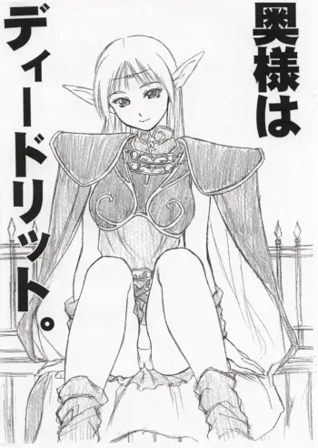 [Hellabunna (Iruma Kamiri)] Okusama wa Deedlit. (Record of Lodoss War) manga cover