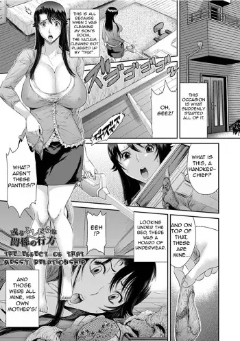 Aru Fushidara na Kankei no Kouroyku | The Effect of that Messy Relationship manga cover