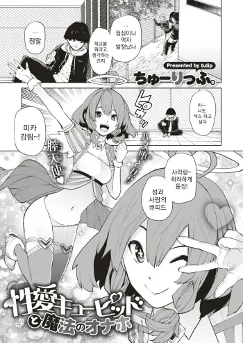[Tulip] Seiai Cupid to Mahou no Onaho | 성애의 큐피드와 마법의 오나홀 (COMIC X-EROS #74) [Korean] [Digital] manga cover