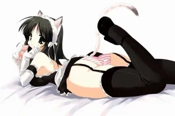 Ecchi & Hentai Collection 11 manga cover