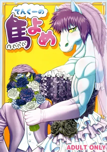 Tenkuu no Uma Yome manga cover
