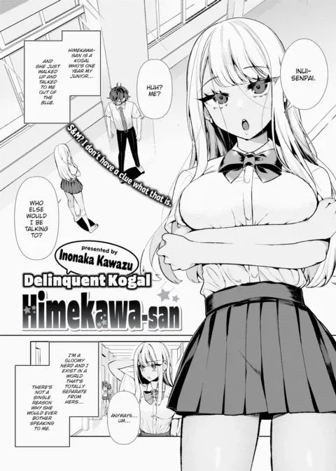 Delinquent Kogal Himekawa-san manga cover