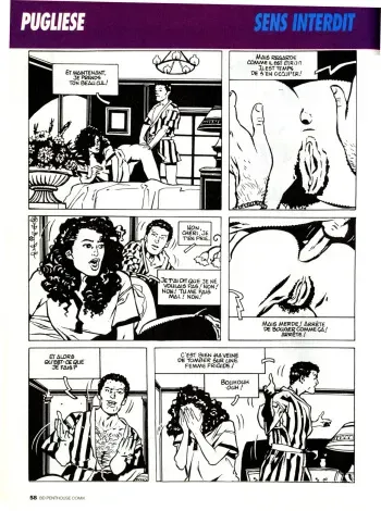 [Pugliese] No Entry [French] manga cover