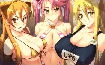 Highschool of the Dead manga cover
