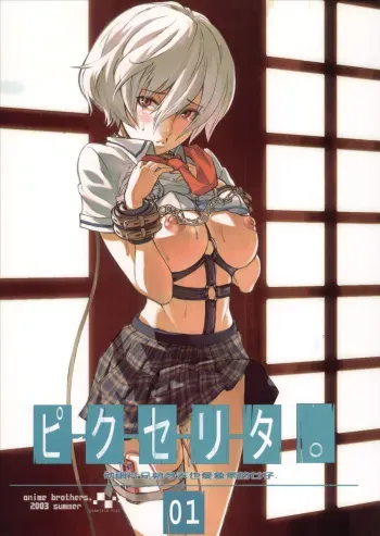 (C64) [Anime BROTHERS (Itsuki Kousuke)] PixelitA 01 manga cover