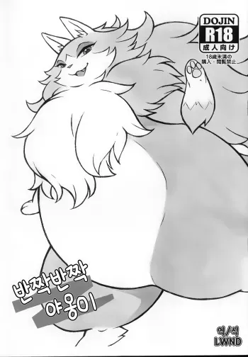 (Kemoket 7) [Mayoineko (Nakagami Takashi, Diru, Nezumin)] Kirakira Nyanko (Monster Hunter Stories) [Korean] [LWND] manga cover