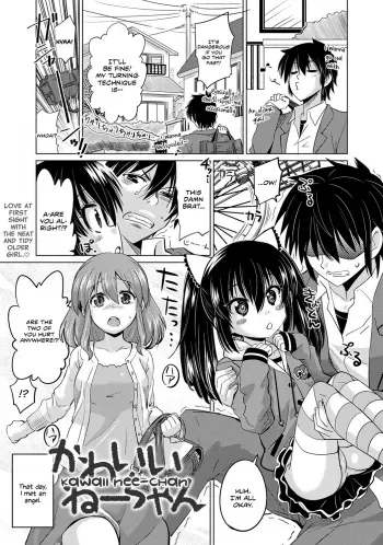 Kawaii Nee-chan | Cute Young Lady manga cover