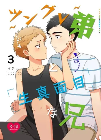 [Suita Kobara ni Choudo Ii (ichi)] Tsungure Otouto to Kimajime na Ani 3 [Digital] manga cover