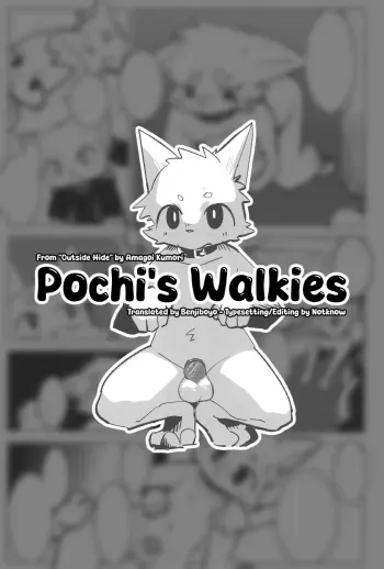 Pochi's Walkies manga cover