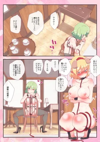 [Non] Hazukashii no ga Kimochiii, Wanwan Alice-chan. (Touhou Project) manga cover