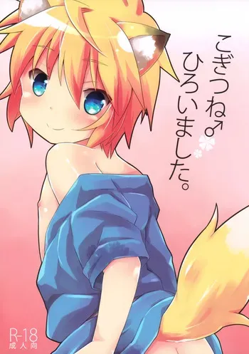 (C88) [Rideshion (Kazushi)] Kogitsune ♂ Hiroimashita. manga cover