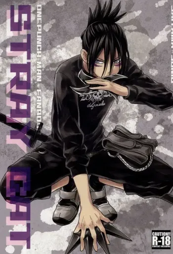 (C86) [LITHIUM (Yukimaru)] stray cat (One Punch Man) [English] [Cody Scans] manga cover