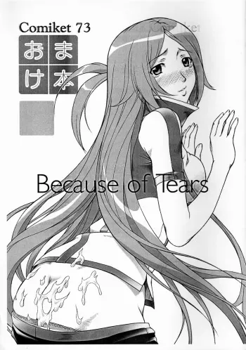 (C73) [OTOGIYA X-9 (Mizuki Haruto)] Because of Tears (Dragonaut) manga cover