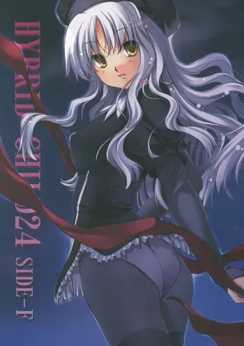 (SDF1008) [SILMARIL (Ayakaze Ryuushou)] HYBRID CHILD24 SIDE-F (Fate/hollow ataraxia) manga cover