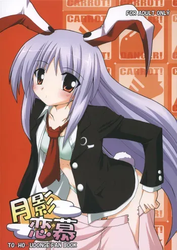 (SC29) [Yuugen Jikkou (Gonzaburo-)] Tsukikage Renbo (Touhou Project) manga cover