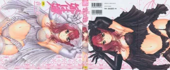 [Otone] Ane wa Yome manga cover