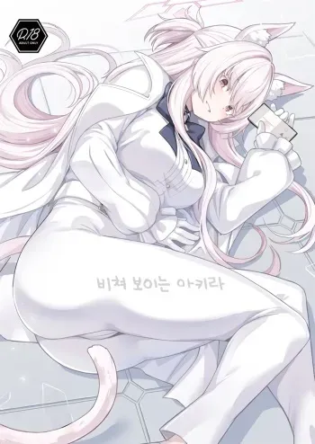 (C102) [Ohanabatake (Siseki Hirame)] Sukitoutta Akira | 비쳐보이는 아키라 (Blue Archive) [Korean] manga cover