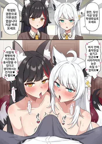 [Namaitachi] Seitokaishitsu ni Yobidashite W Fella de Shiboritocchau Hatsujouki fbmo | 학생회실로 불러내 더블 펠라로 착정하는 발정기 후부키와 미오 (Shirakami Fubuki, Ookami Mio) [Korean] manga cover