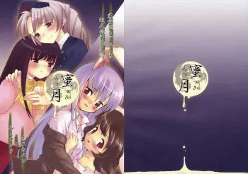 (Kouroumu 3) [Nekotank, Wasre Kaban (Maitou, Nametake)] Mitsutsuki (Touhou Project) manga cover