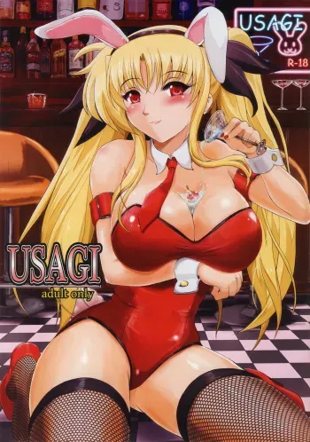 [Shouchuu MAC (Hozumi Kenji)] USAGI (Mahou Shoujo Lyrical Nanoha) [English] [Tigoris Translates] manga cover