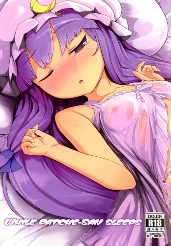 Patchesan Sleeps manga cover