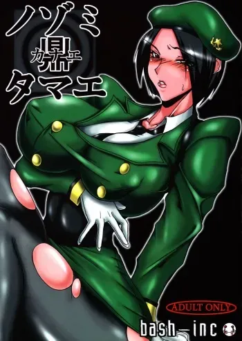 (COMIC1☆2) [bash-inc (BASH)] Nozomi Kanae Tamae (Akatsuki Blitzkampf) manga cover