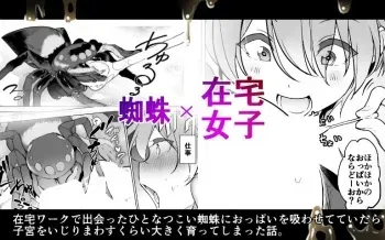 [Haechaimu (smomo)] kumo x zaitaku josh manga cover