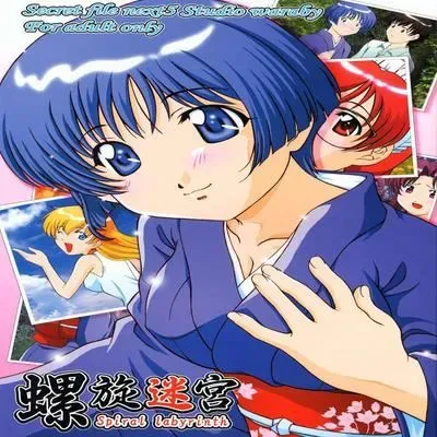 Secret File Next [Original] manga cover