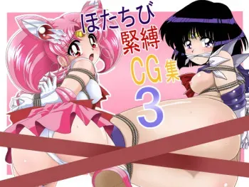 [Thirty Saver Street 2d Shooting] Hota Chibi Kinbaku CG Shuu 3 (Bishoujo Senshi Sailor Moon) manga cover