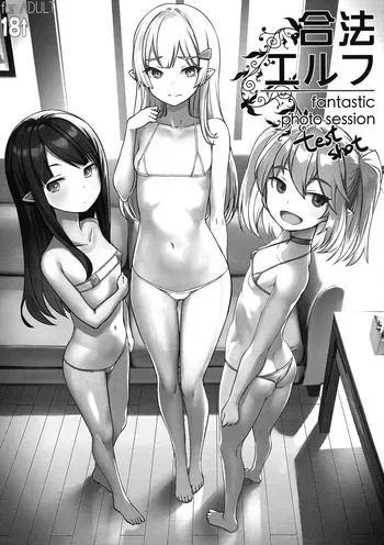 [AskRay (Bosshi)] Gouhou Elf- Fantastic Photo Session test shot manga cover