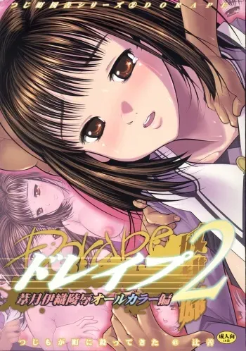 (C71) [Tsujimogachou ni Yattekita (Tsujizen)] Dorape 2 Yoshizuki Iori Ryoujoku All Color Hen (I''s) manga cover